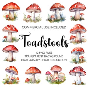 Clipart de champignons vénéneux - 12 PNG de haute qualité fond transparent - téléchargement numérique, fabrication de cartes florales, création numérique technique mixte