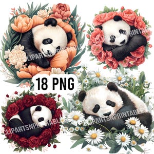 Pandas dormindo em flores clipart - 18 PNGs de fundo transparente de alta qualidade, download digital - Criação de cartões, mídia mista, animais, artesanato