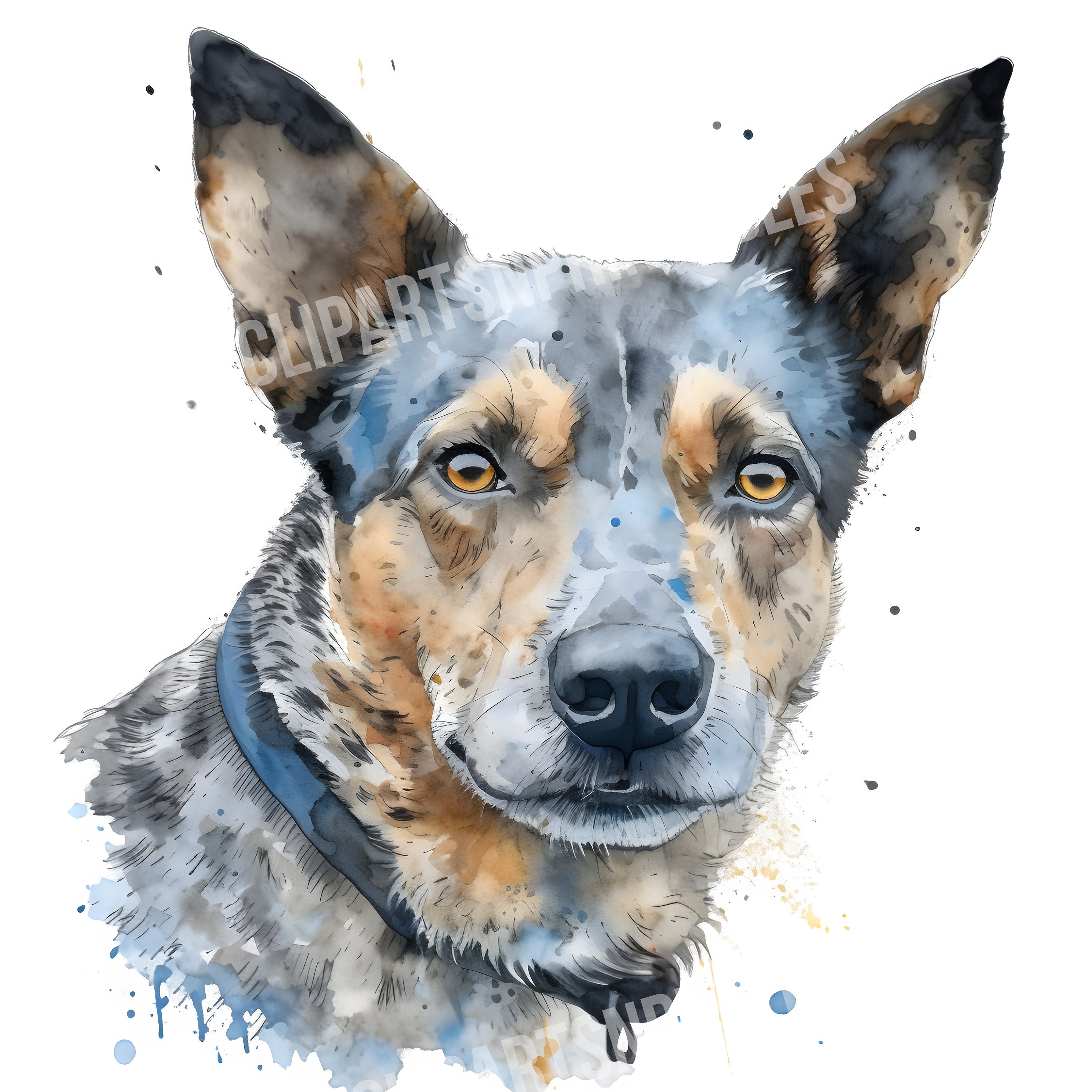 Blue Heeler Dog Clipart, 12 JPG and PNG Files for Digital Download ...
