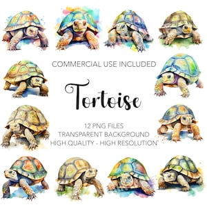 Tortue Clipart - 12 PNG d’arrière-plan transparent de haute qualité, Téléchargement numérique - Fabrication de cartes, Techniques mixtes, Tortue Digital Paper Craft
