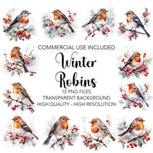 Winter Robins Clipart  - 12 High Quality Transparent Background PNGs - Digital Download - Card Making, Mixed Media, Digital Paper Craft