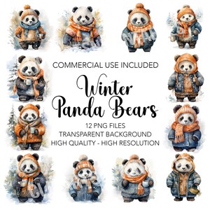 Clipart de ursos panda de inverno - 12 PNGs de fundo transparente de alta qualidade - Download digital - Criação de cartões, mídia mista, artesanato em papel digital