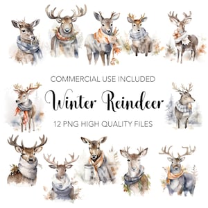 Winter Reindeers Clipart  - 12 High Quality Transparent Background PNGs - Digital Download - Card Making, Mixed Media, Digital Paper Craft