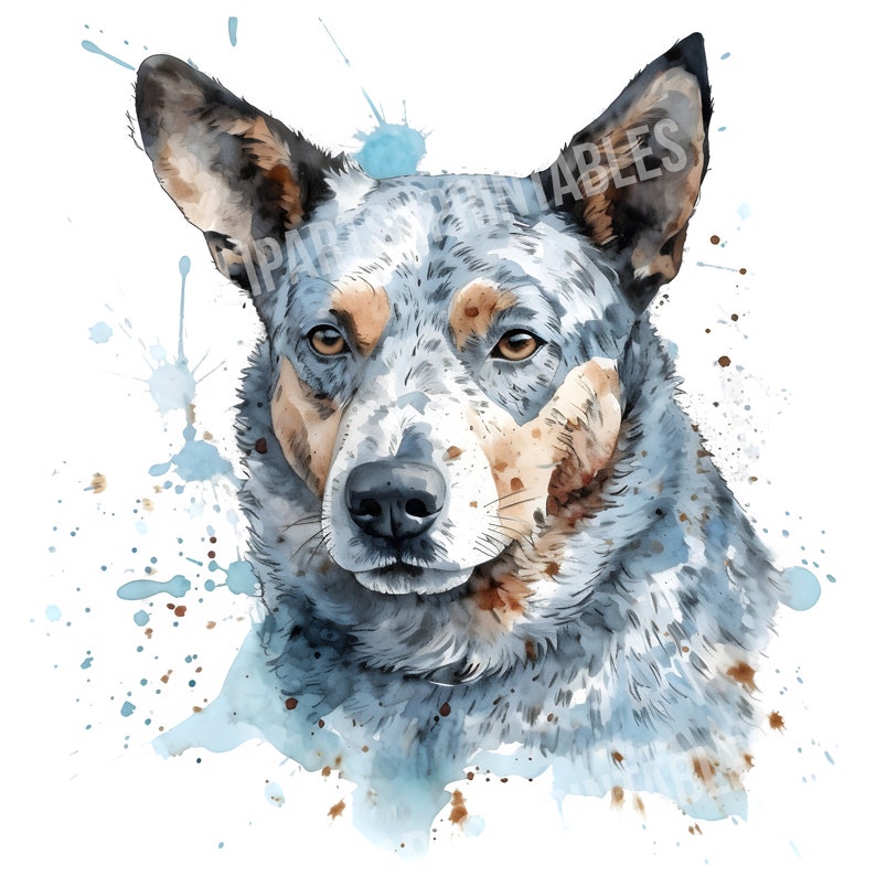 Blue Heeler Dog Clipart, 12 JPG and PNG Files for Digital Download ...