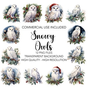 Snowy Owls Clipart  - 12 High Quality Transparent Background Owl PNGs - Digital Download - Card Making, Mixed Media, Digital Paper Craft