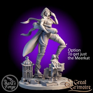 May include: A gray 3D printed miniature of a female adventurer with a hooded cloak, holding a scroll and a weapon. She stands on a base with books and a lantern. A small gray meerkat miniature stands next to her, also holding a scroll. The text "Option To get just the Meerkat" is visible in the background.