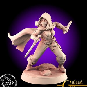 Rogue Fighter • Hero Warrior • Galaad Miniatures • Into The Woods • Mini 3D Resin Printed 28-32mm • Tabletop Fantasy Gaming • D&D