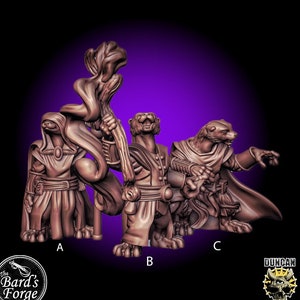 Otter Folk Wizard Sorcerer Mage • Duncan Shadow • Miniature • 3D Resin Printed 28-32mm • Tabletop Fantasy Gaming • D&D •Dungeons and Dragons