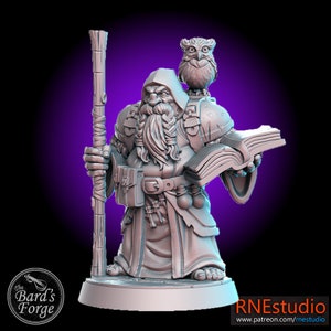 Dramnir Male Wizard Sorcerer  w/Owl Mini 3D Resin Printed 28-32mm Tabletop Fantasy Gaming D&D Pathfinder Frostgrave RN Estudio
