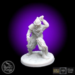 Sword Marauder Desert Thief 3DRESIN Printed 28-32mm Tabletop Fantasy Gaming DND Pathfinder Frostgrave  Empire of the Scorching Sands