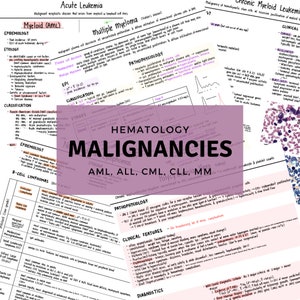 Könnte beinhalten: Eine lila und weiße Grafik mit dem Text "Hämatologie Malignitäten" und den Wörtern "AML, ALL, CML, CLL, MM" in kleinerer Schrift. Die Grafik ist von einer handschriftlichen Tabelle mit medizinischen Begriffen und Beschreibungen umgeben.
