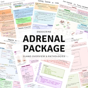 Adrenal Gland Package: Gland Overview & Related Pathologies