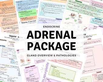 Adrenal Gland Package: Gland Overview & Related Pathologies