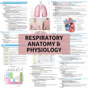 Respiratory Anatomy & Physiology