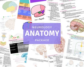 Neuroanatomy