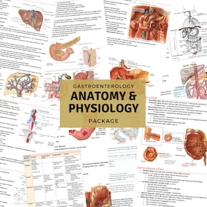 May include: A colourful anatomical illustration of the human digestive system, labelled with the title "Gastroenterology Anatomy & Physiology Package".