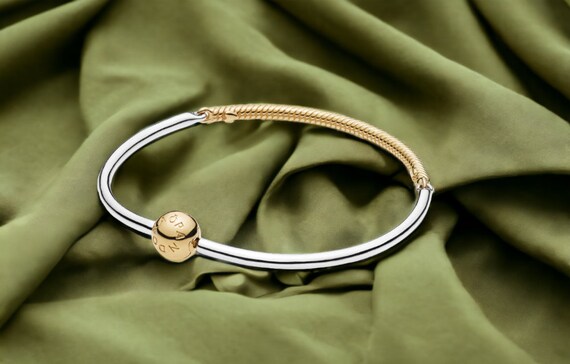 Pin by L M on Pandora <3 ☆  Pandora bangle, Pandora bracelet