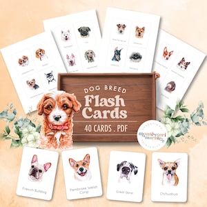 DOGS Flash Cards, Types of Dogs, Dog Breeds, Baby Flash Cards, Montessori at Home, Preschool Homeschool, Montessori Inspired, Nature Based