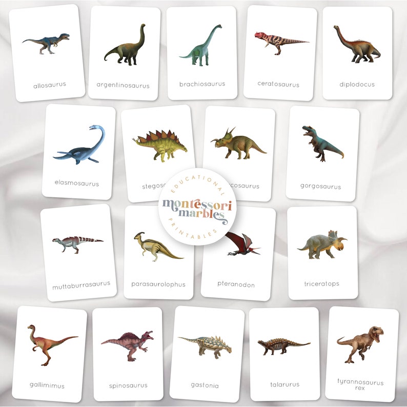 Dinosaurs Flash Cards | Montessori Paleontology Vocabulary | Dinosaur ...
