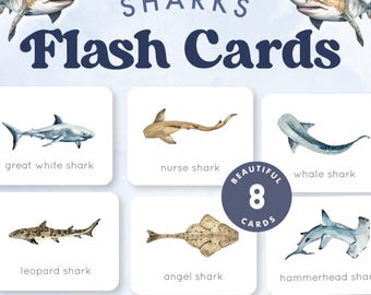 SHARKS Flash Cards | Types of Sharks | Watercolor Sharks Flash Cards | Montessori Inspired  Printable for Kids | Shark Week Printable