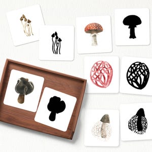 May include: A set of 10 cards featuring different types of mushrooms. Each card has a mushroom illustration on one side and a silhouette of the mushroom on the other side. The cards are perfect for a matching game or for learning about different types of mushrooms.