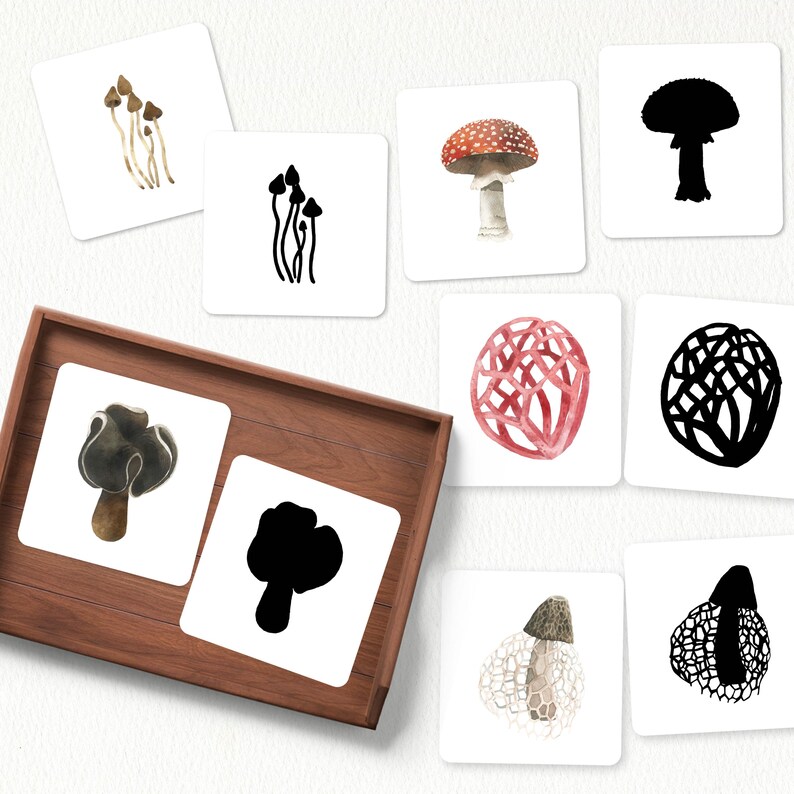 May include: A set of 10 cards featuring different types of mushrooms. Each card has a mushroom illustration on one side and a silhouette of the mushroom on the other side. The cards are perfect for a matching game or for learning about different types of mushrooms.