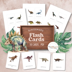 Flashcards de DINOSSAUROS | 18 flashcards | Recurso de educação domiciliar inspirado em Montessori | Flashcards para pré-escola | Paleontologia