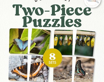Butterfly Parts Nomenclature Cards | Montessori Zoology 3-Part Cards | Insect Science Printable | PDF