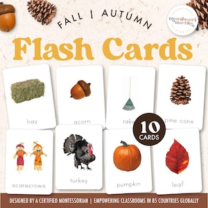 UNITÉ D'AUTOMNE Cartes éclair | Cartes flash avec images réelles | Cartes flash imprimables inspirées de Montessori pour le préscolaire | Vocabulary Builder pour l'automne