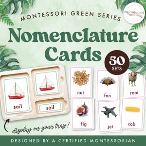 MONTESSORI GREEN SERIE Nomenklatur Karten | Phonics lernen Printable | Homeschool Leseaktivitäten Digital Download Alter 4-7