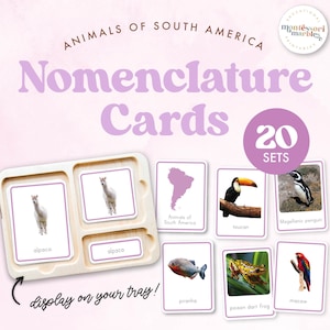 ANIMALES de SUDAMÉRICA Tarjetas de nomenclatura Montessori / Aprendizaje basado en la naturaleza para el aula Montessori / Montessori Primary Age 3 to 6