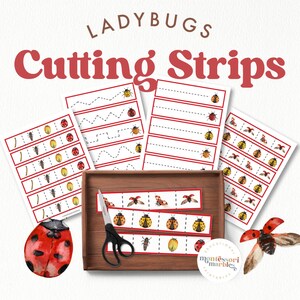Ladybugs Cutting Strips | Montessori Toddler Fine Motor Skills | Nature-Themed Scissor Practice Printable