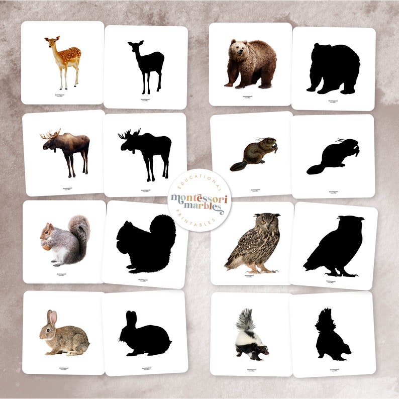 May include: A set of 10 printable cards featuring images of forest animals and their silhouettes. The animals include a deer, moose, bear, beaver, squirrel, owl, rabbit, and skunk.