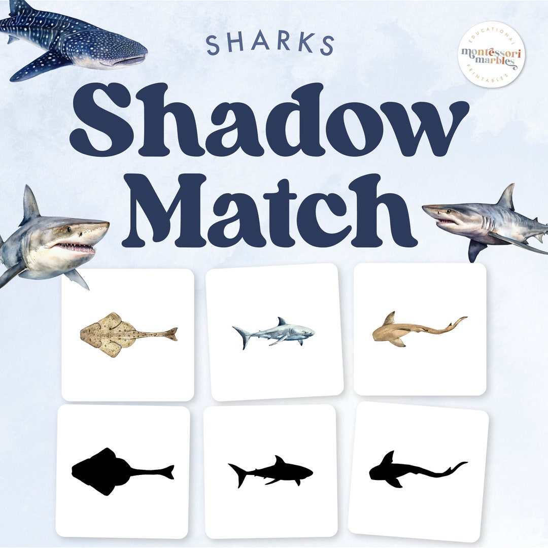 SHARKS Shadow Matching | Silhouette Matching | Montessori Inspired ...