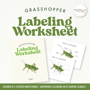 May include: Educational worksheets titled "Grasshopper Labeling Worksheet" with a green grasshopper illustration on the cover. Additional worksheets show labeled grasshopper parts. The design includes the text "Designed by a Certified Montessorian | Empowering Classrooms in 85 Countries Globally."