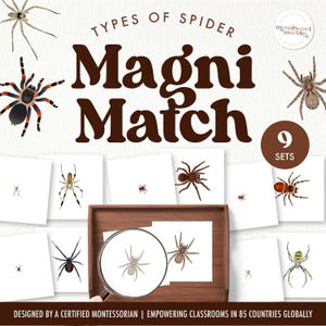 SPIDERS Magnifying Matching Game / Montessori en casa usando lupa / Actividad de otoño para preescolar y jardín de infantes