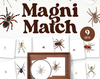 May include: A set of 9 printable spider matching cards for children. The cards feature different types of spiders, including a black widow, a huntsman spider, and a garden spider. The cards are designed to help children learn about different types of spiders and their characteristics. The cards are labelled with the text "Magni Match" and "9 Sets".