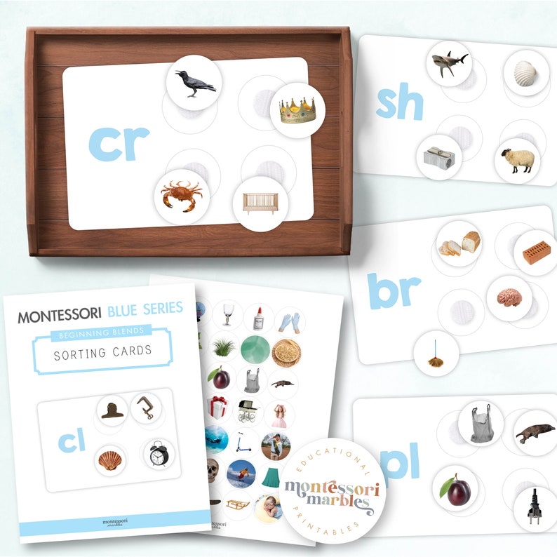 Blue Series Beginning Blends Sorting Cards | Montessori Language ...