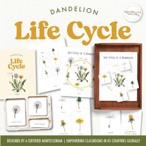 Ciclo de vida del diente de león / Tarjetas de nomenclatura Montessori y póster del ciclo de vida / Hoja de trabajo de actividades imprimible en PDF / Aprendizaje basado en la naturaleza