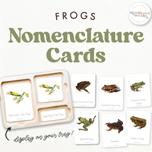 Cartões de nomenclatura Montessori FROGS | Tipos de sapos | Unidade de primavera | Atividade inspirada na natureza Montessori