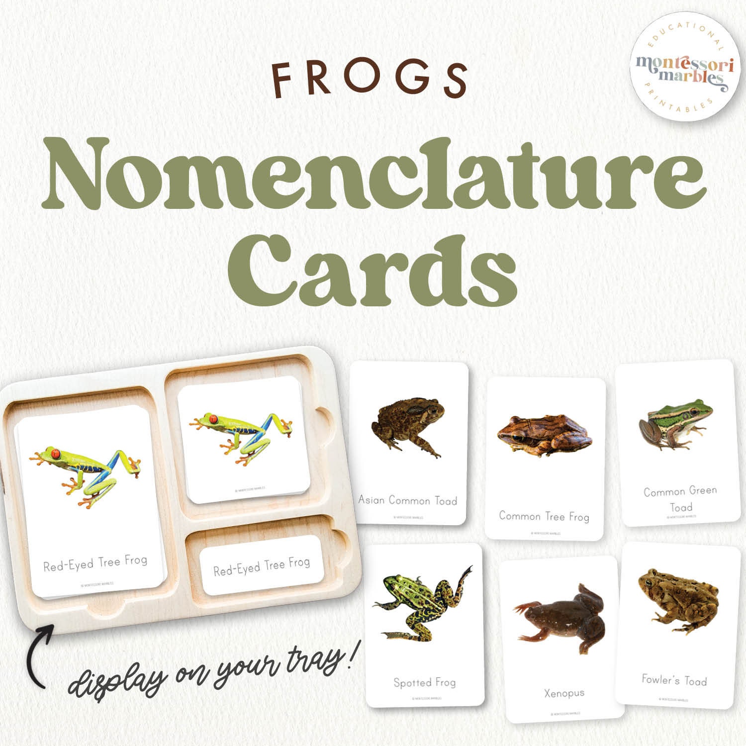 FROGS Montessori Nomenclature Cards | Types of Frogs | Spring Unit | Montessori Nature Inspired Activity