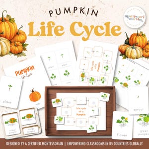 Ciclo de vida de una calabaza / Tarjetas de nomenclatura Montessori / Montessori en casa / Actividad de otoño / Póster de otoño / Aprendizaje basado en la naturaleza