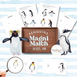 PINGÜINOS Magni Match / Juego de combinación con lupa, Montessori en casa / Uso de lupa