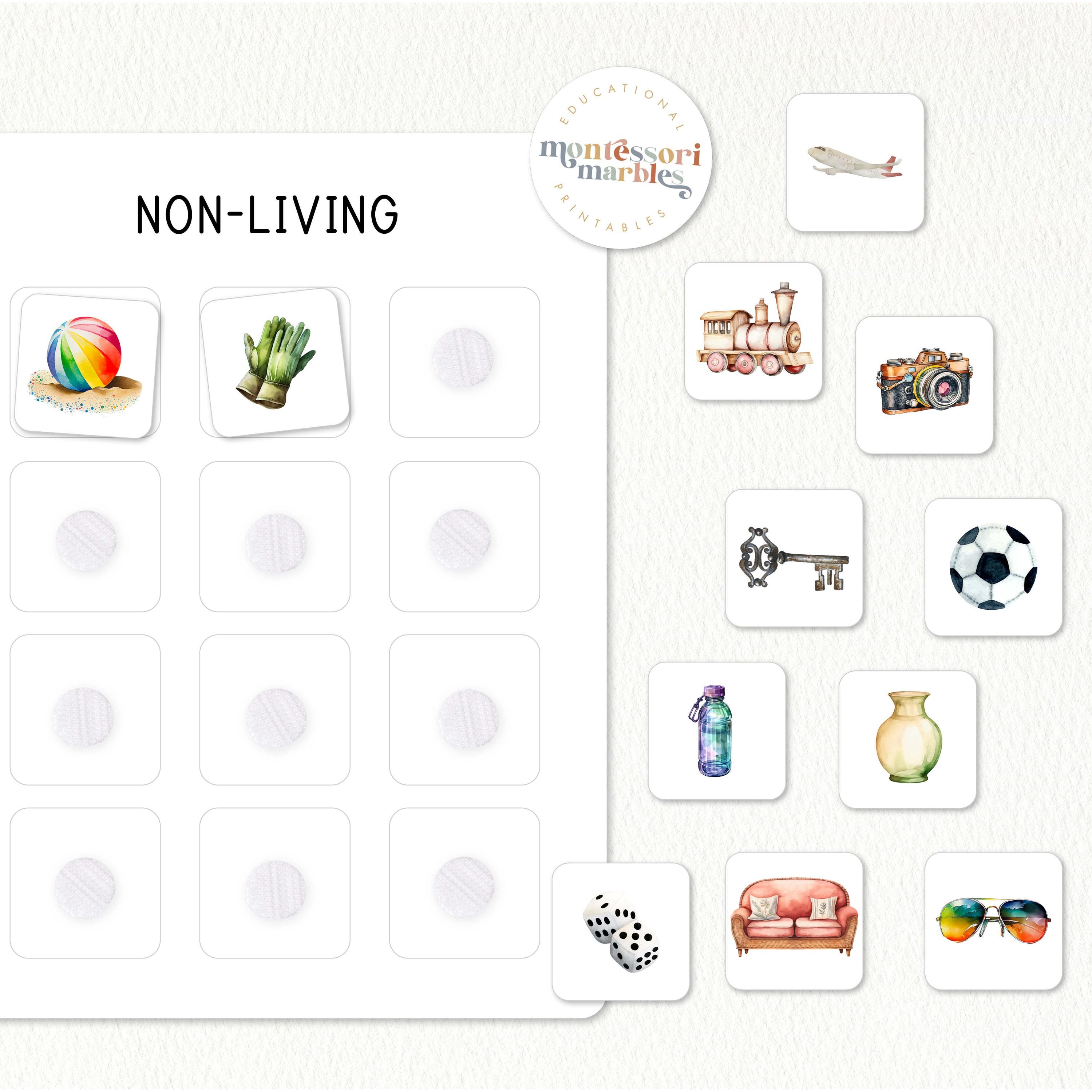 Living & Non-living Sorting Cards | Montessori Science Concept Learning ...