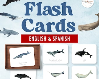 Bilingual Whales Flash Cards PDF | English Spanish 8 Species Ages 3-8 | Dual Language Ocean Animals | Spanish Immersion Homeschool Learning