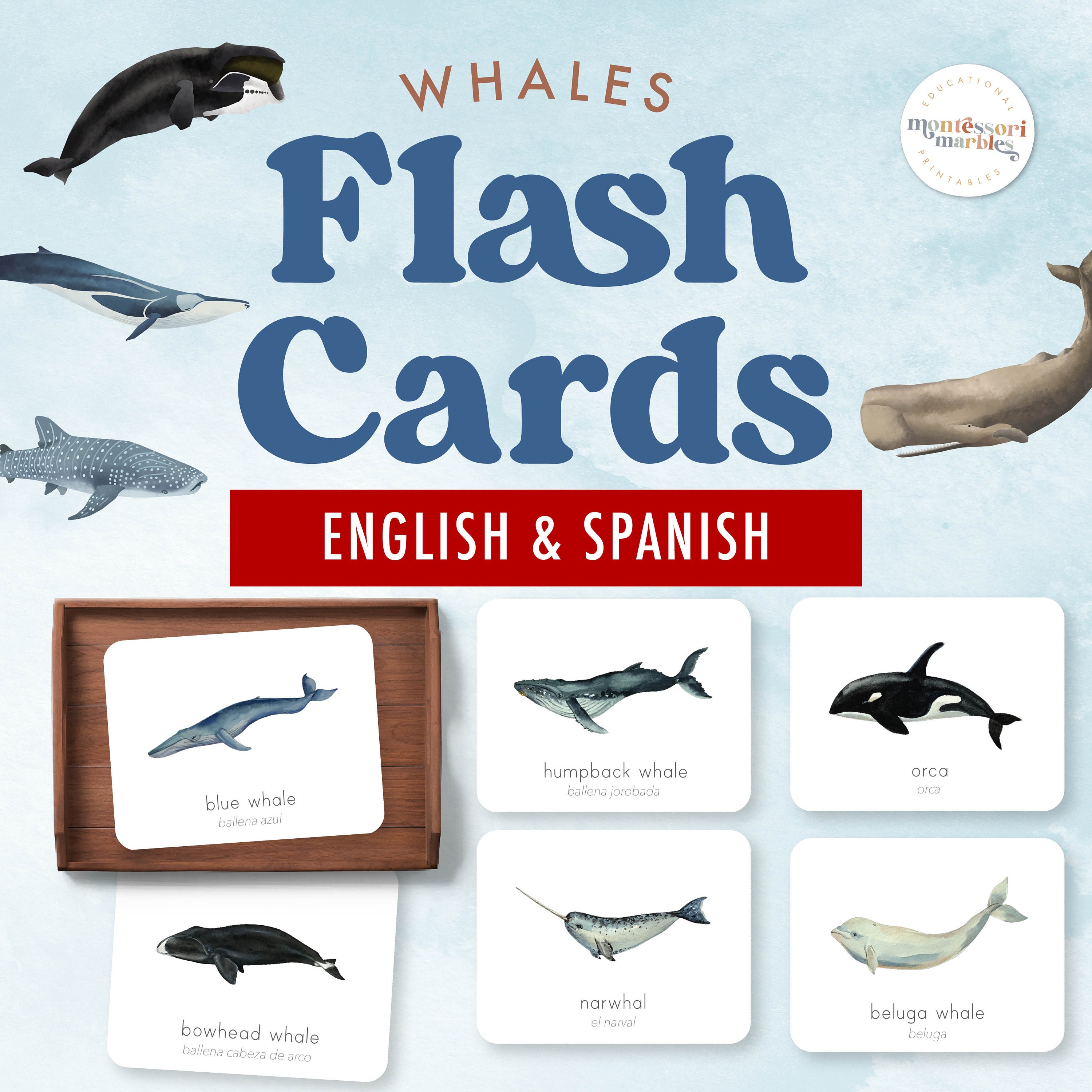 Bilingual Whales Flash Cards PDF | English Spanish 8 Species Ages 3-8 ...