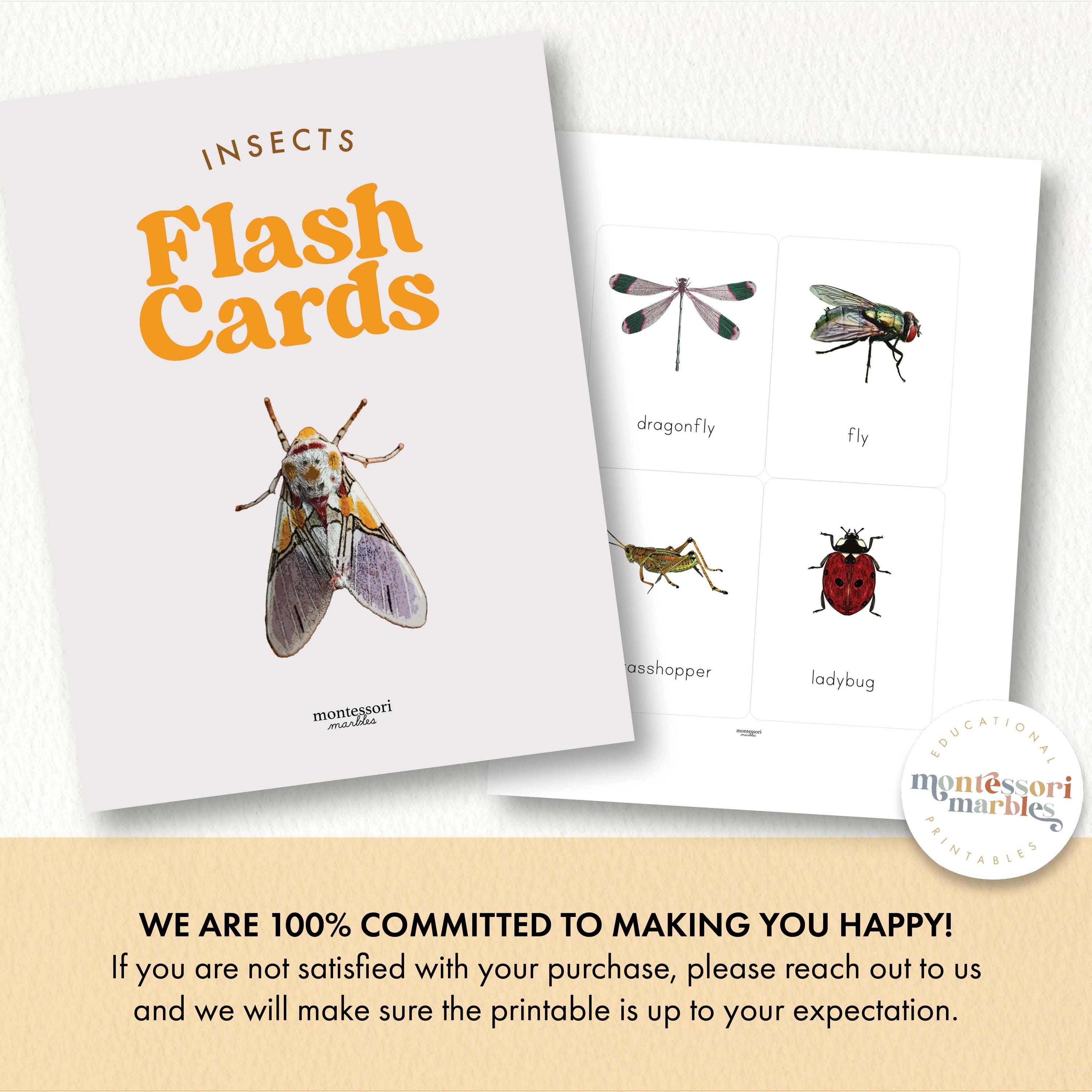 Insects Flash Cards | Montessori Nature Vocabulary Builder | Preschool ...