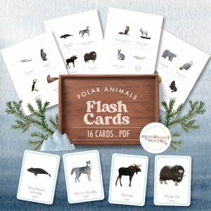 Cartão flash ANIMAIS POLARES Montessori, animais árticos, animais de inverno, tema de inverno, educação pré-escolar em casa, cartão flash de bebê Montessori