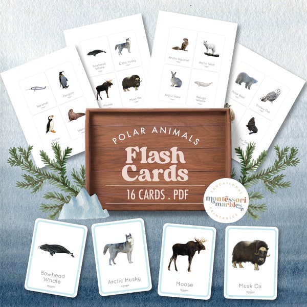 POLAR ANIMALS Flash Card Montessori, Arctic animals, Winter animals, Winter theme, Preschool homeschool, Montessori baby flash card