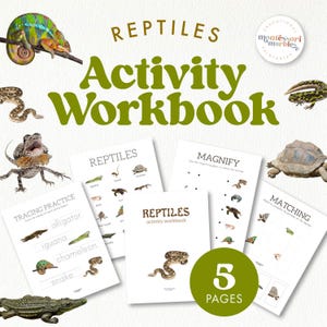 Libro de actividades y tarjetas didácticas sobre REPTILES / Imprimible divertido para la Semana de los Reptiles / Hojas de trabajo matutinas para preescolar y jardín de infantes